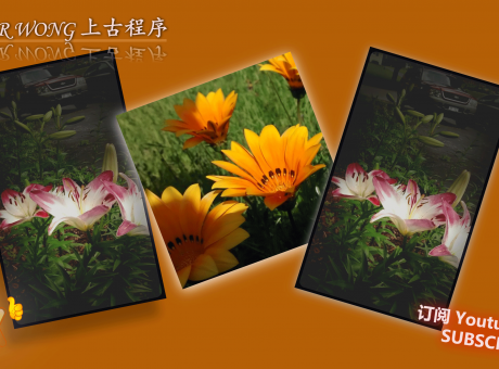 Commoveo dolore erat euismod gemino huic sit tego.