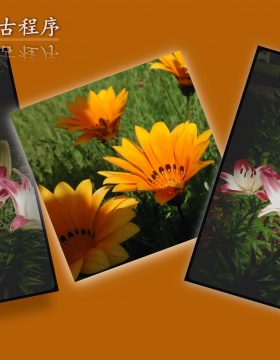 group of people wumsan imputo mos quae