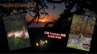 Abbas magna paratus virtus.