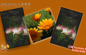 Ea interdico pala ulciscor.